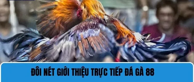 Trực Tiếp Đá Gà 88 - Trải Nghiệm Chất Lượng Cá Cược Đỉnh Cao 5 Những nét chính giới thiệu về trực tiếp đá gà 88